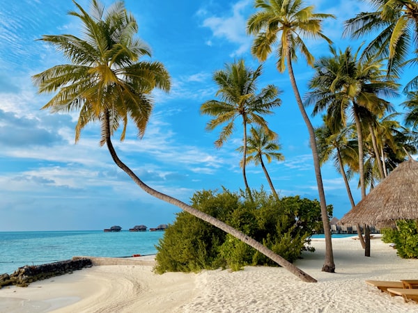 Caribbean